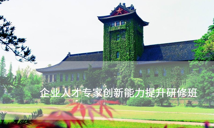 企业人才专家创新能力提升研修班